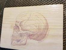 Vintage SKULL hand crafted wall plaque